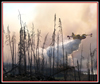 Ontario Ministry Natural Resources gets Flir